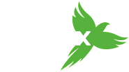 Phoenix clean - Services à domicile